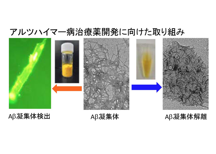 病気に関わるタンパク質を制御する